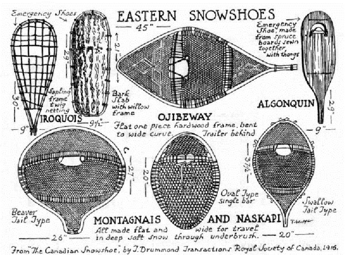 600Px  Snowshoes