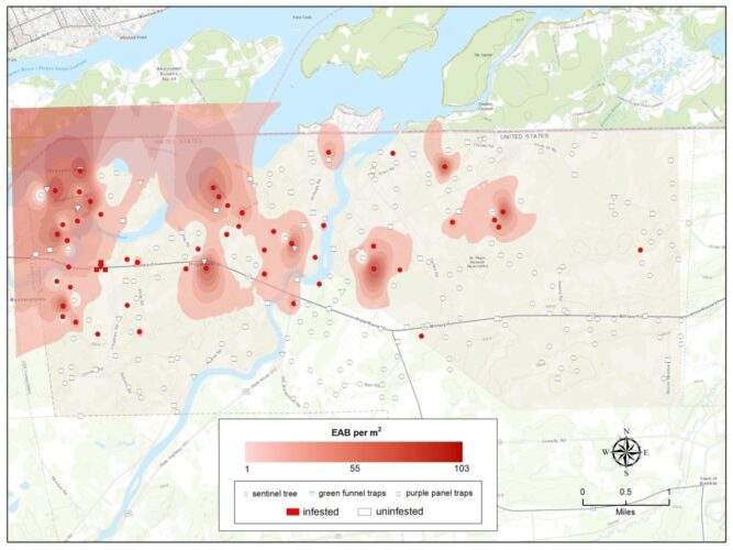 Eab Akwesasne Infestation Map